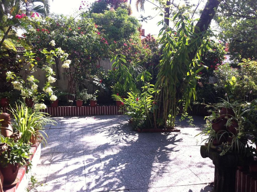 Casa Tukari Colonial House Hotel Puerto Vallarta Exterior foto